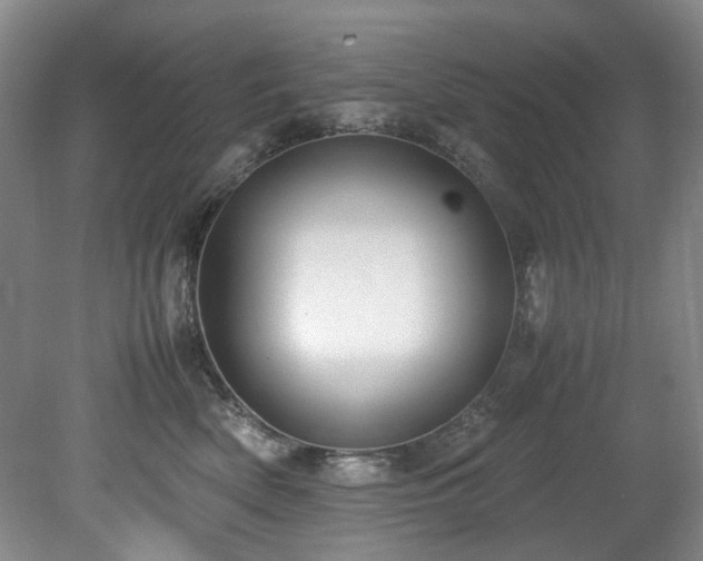 X0000078840522200611131152