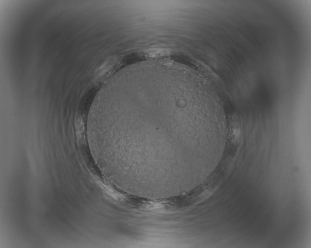 X0000078840523200611131152