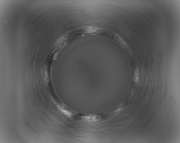 X0000078840524200611131152