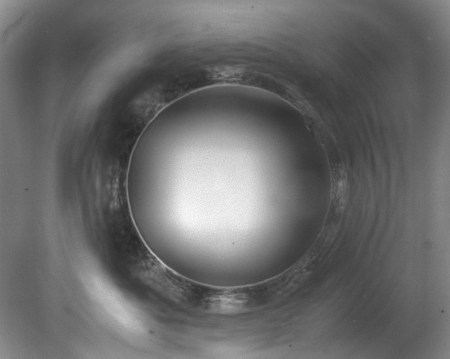 X0000078840525200611131152