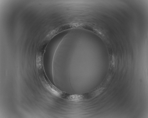 X0000078840526200611131152