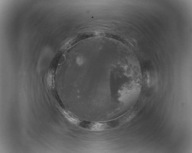 X0000078840527200611131152