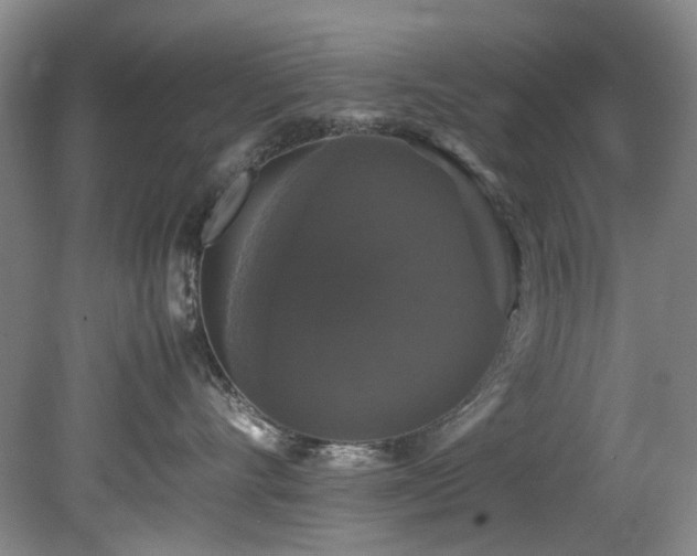 X0000078840528200611131152