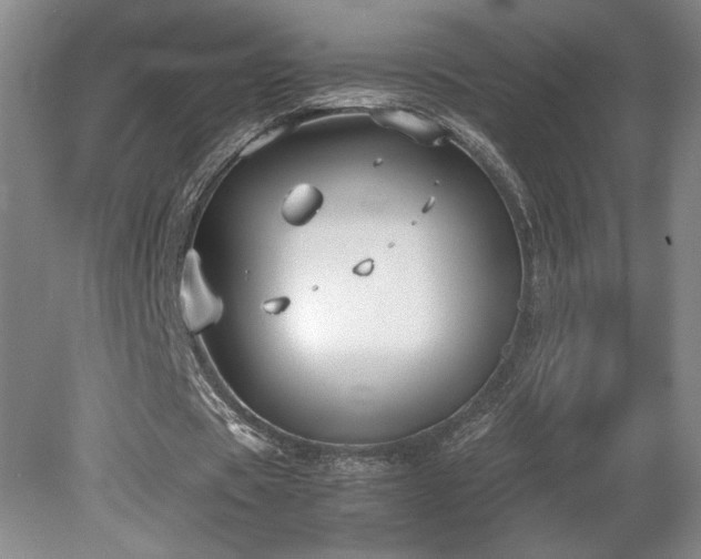 X0000078840529200611131151