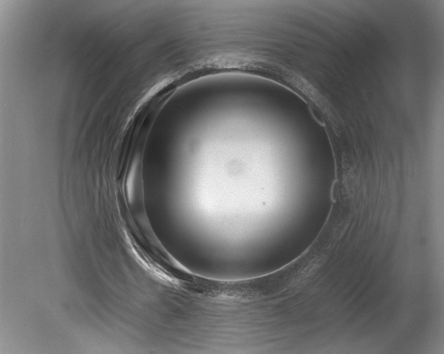 X0000078840530200611131151