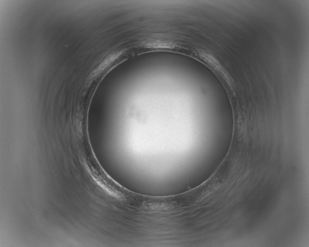 X0000078840533200611131151