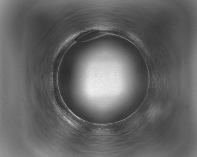 X0000078840535200611131151