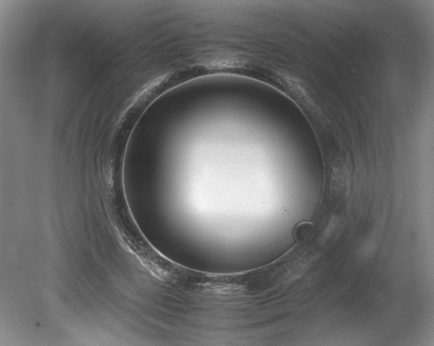 X0000078840539200611131151