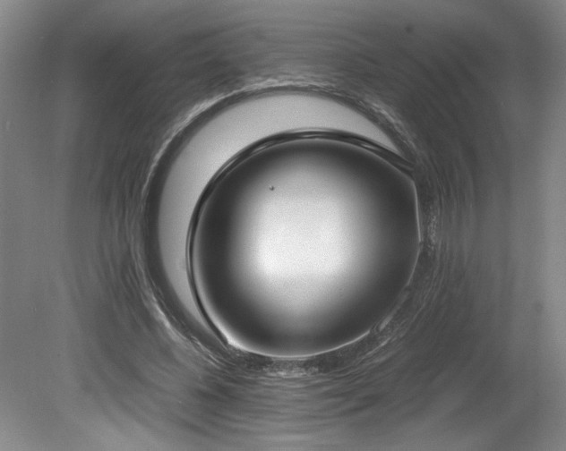 X0000078840540200611131151