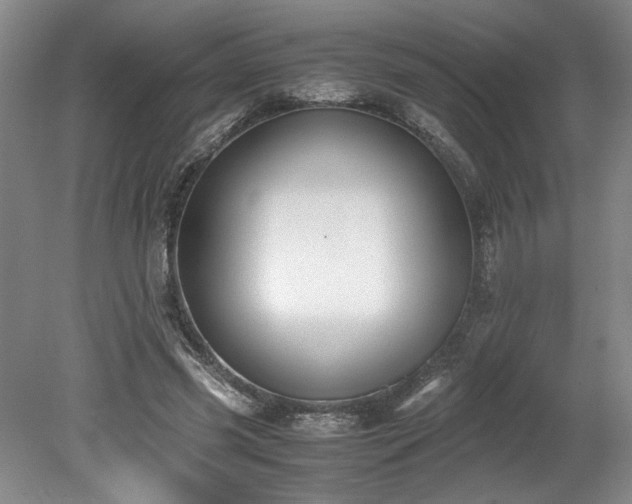 X0000078840541200611131151