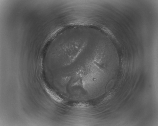 X0000078840542200611131151