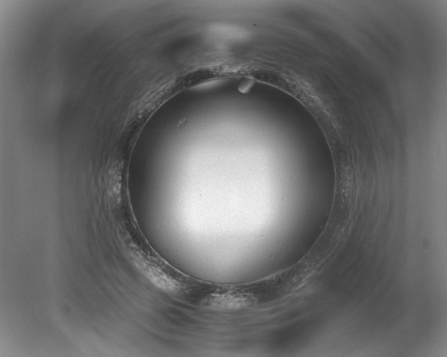 X0000078840545200611131151