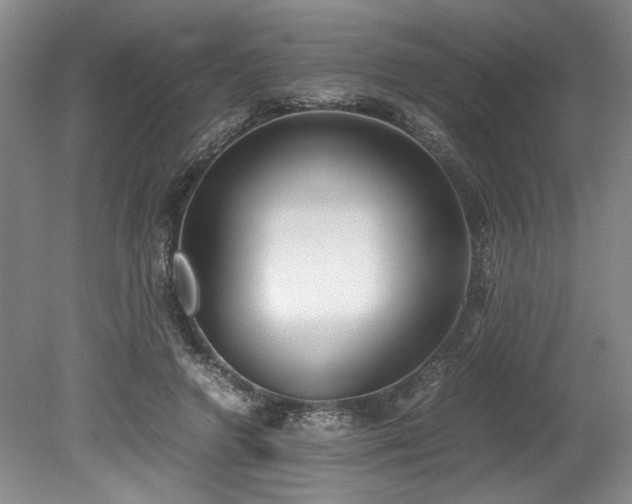 X0000078840546200611131151