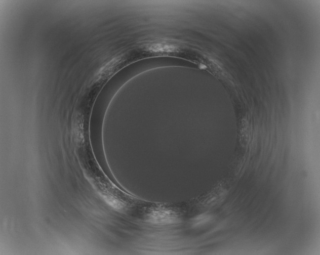 X0000078840547200611131151