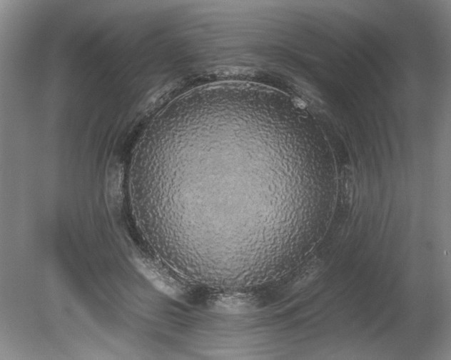 X0000078840550200611131151