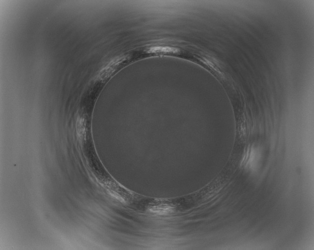 X0000078840551200611131151