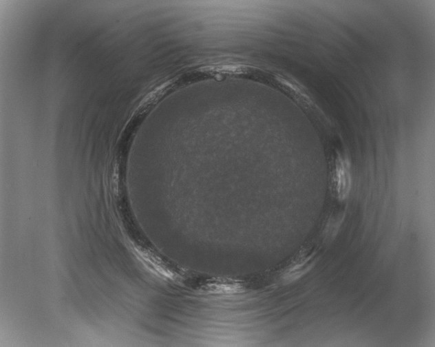 X0000078840552200611131151