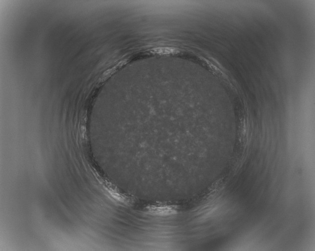 X0000078840553200611131151