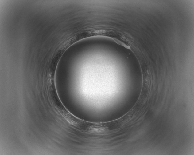 X0000078840555200611131151