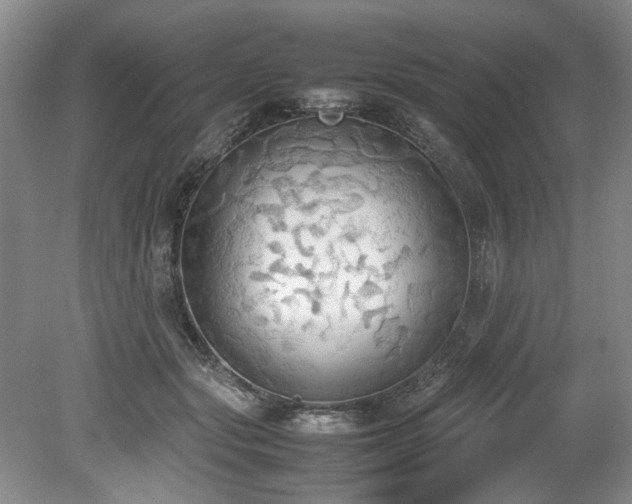 X0000078840557200611131151