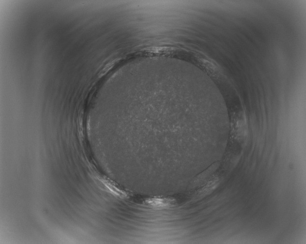 X0000078840558200611131151