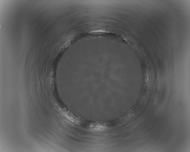 X0000078840559200611131151