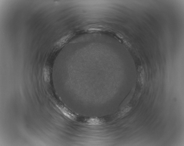 X0000078840562200611131151