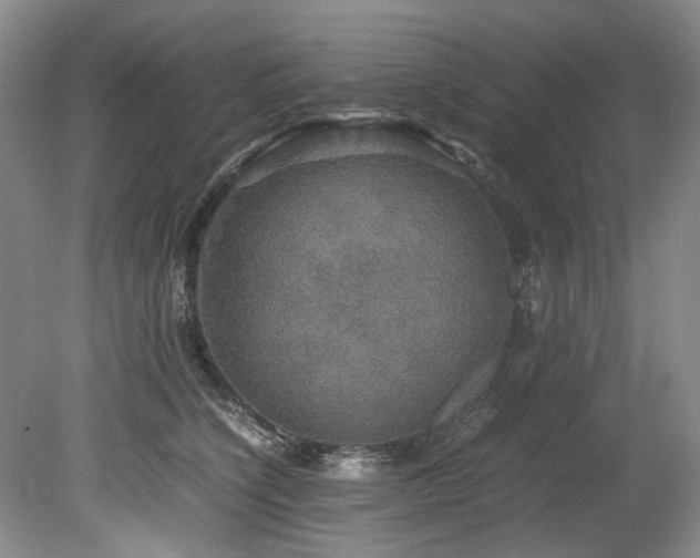 X0000078840564200611131152