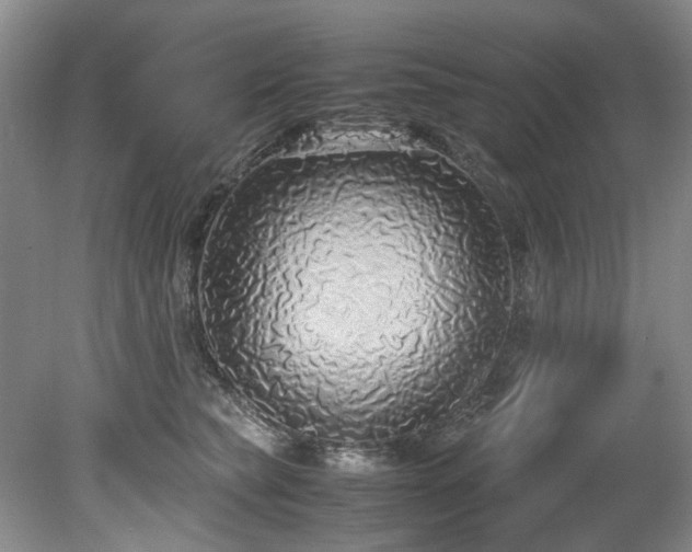 X0000078840565200611131152