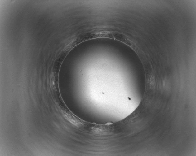 X0000078840567200611131152