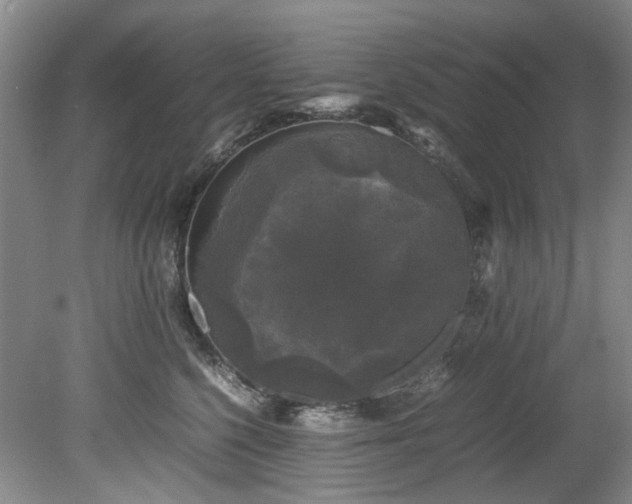 X0000078840568200611131152