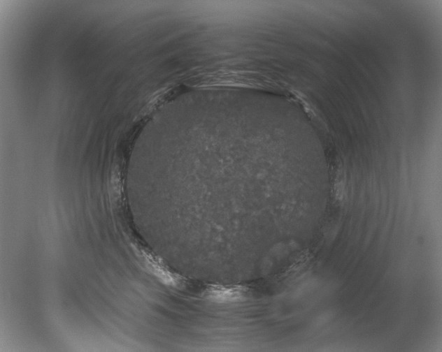 X0000078840569200611131152