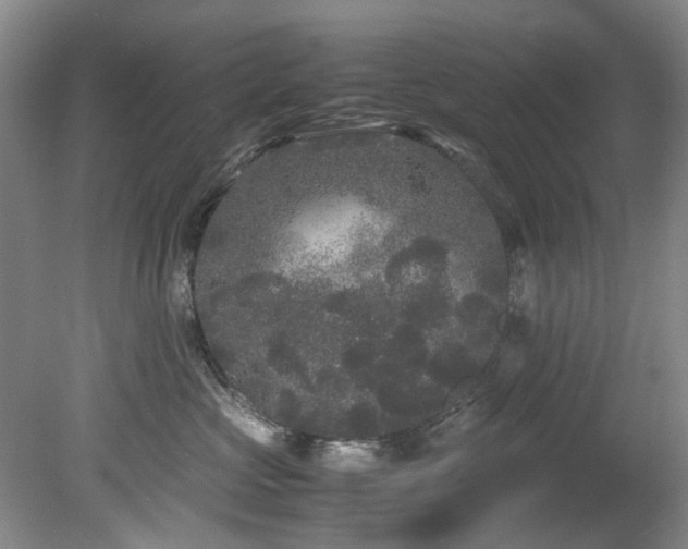 X0000078840573200611131152