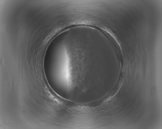 X0000078840577200611131151