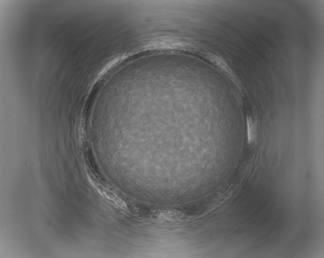 X0000078840579200611131151