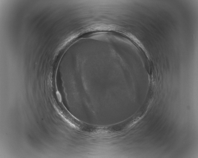 X0000078840581200611131151