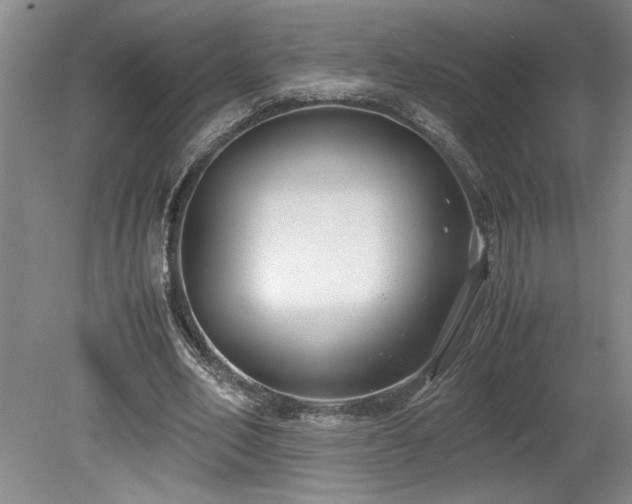 X0000078840582200611131151