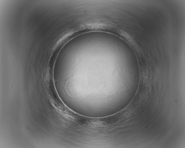 X0000078840583200611131151