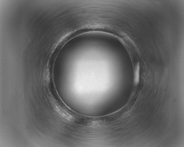 X0000078840584200611131151