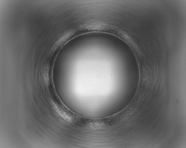 X0000078840586200611131151