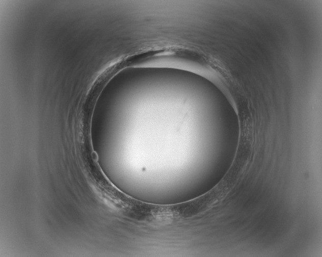 X0000078840587200611131151