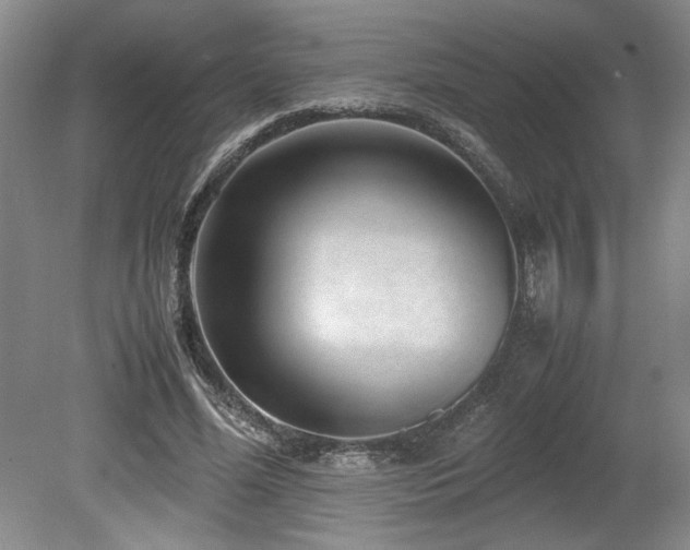 X0000078840588200611131151