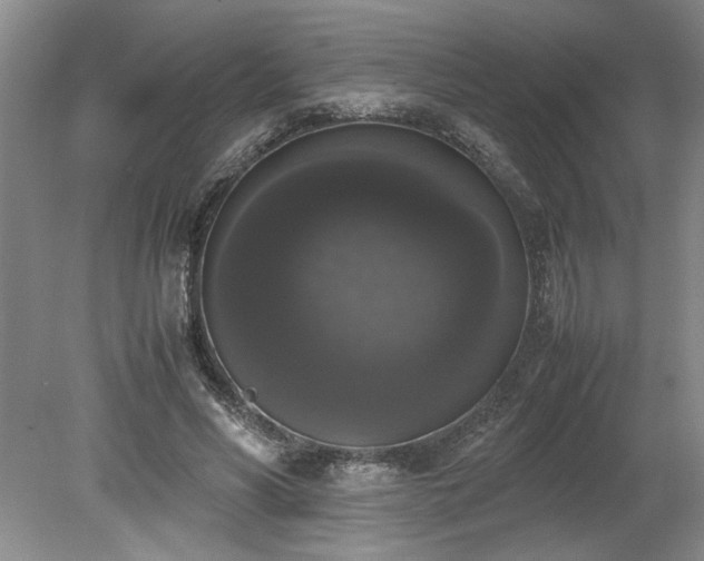 X0000078840590200611131151