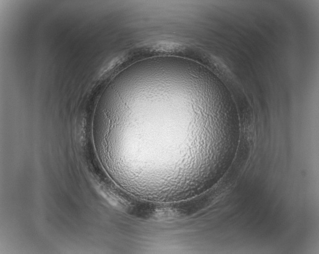 X0000078840591200611131151