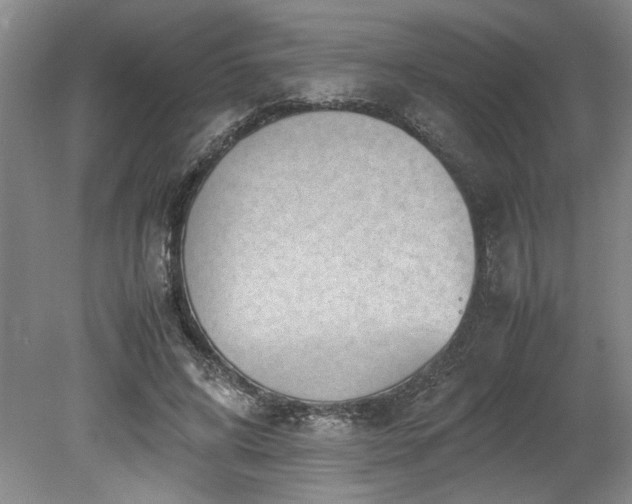 X0000078840592200611131151