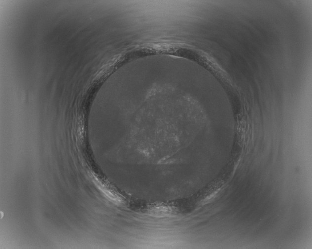 X0000078840593200611131151