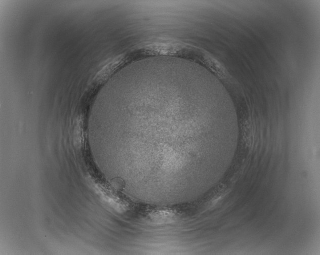 X0000078840594200611131151