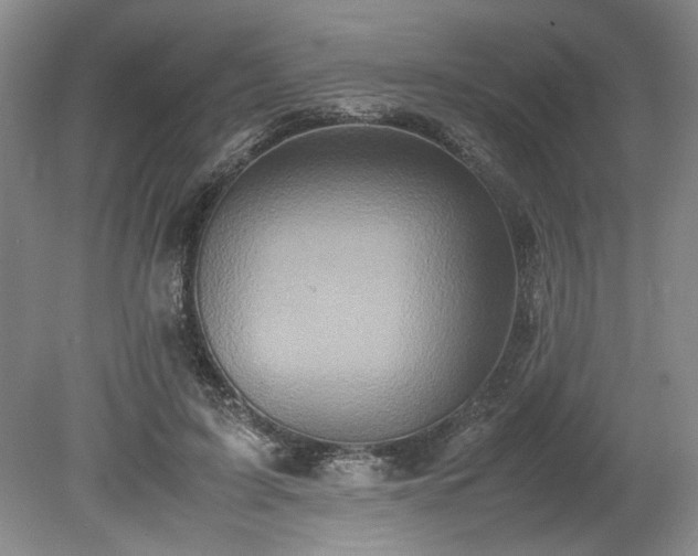 X0000078840595200611131151