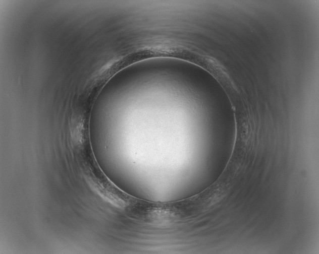 X0000078840596200611131151