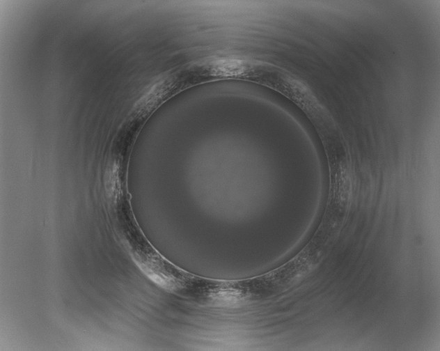 X0000078840598200611131151